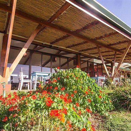 Chayote Lodge Naranjo  المظهر الخارجي الصورة