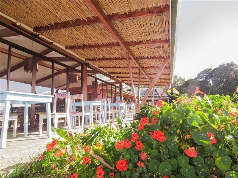 Chayote Lodge Naranjo  المظهر الخارجي الصورة